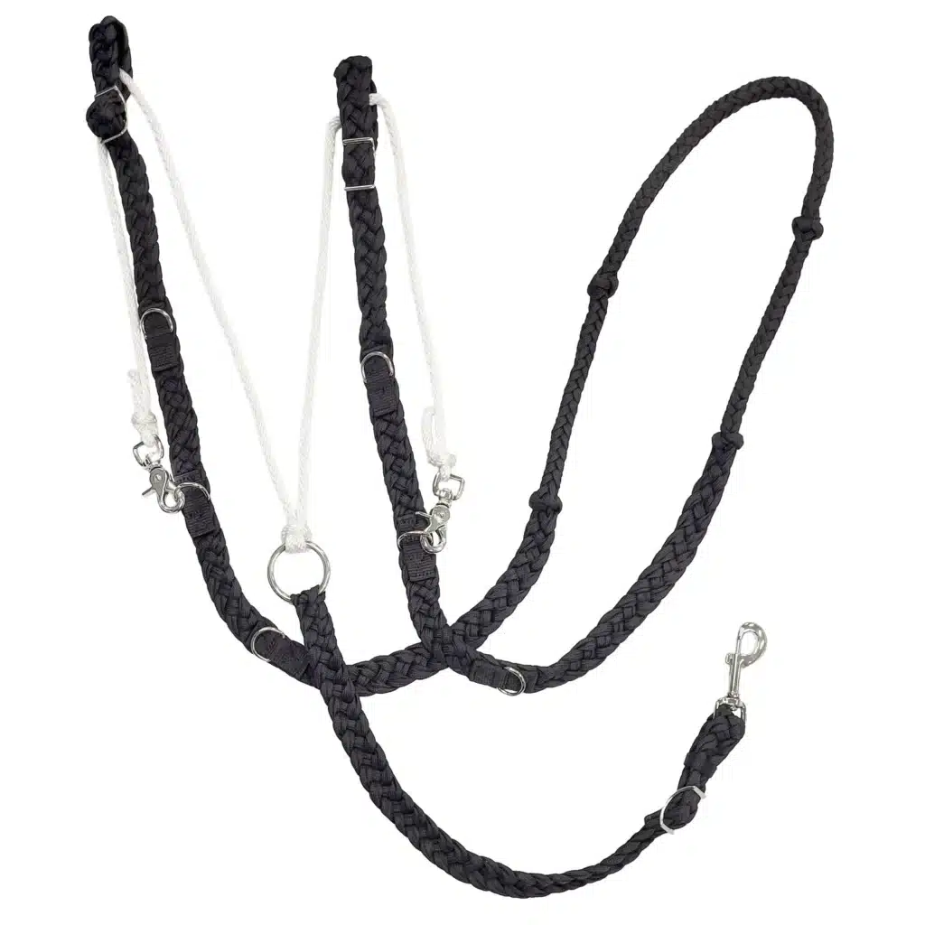 Oregon German Martingale