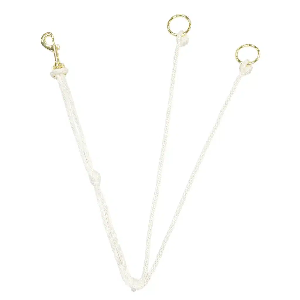 Oregon Standing Martingale