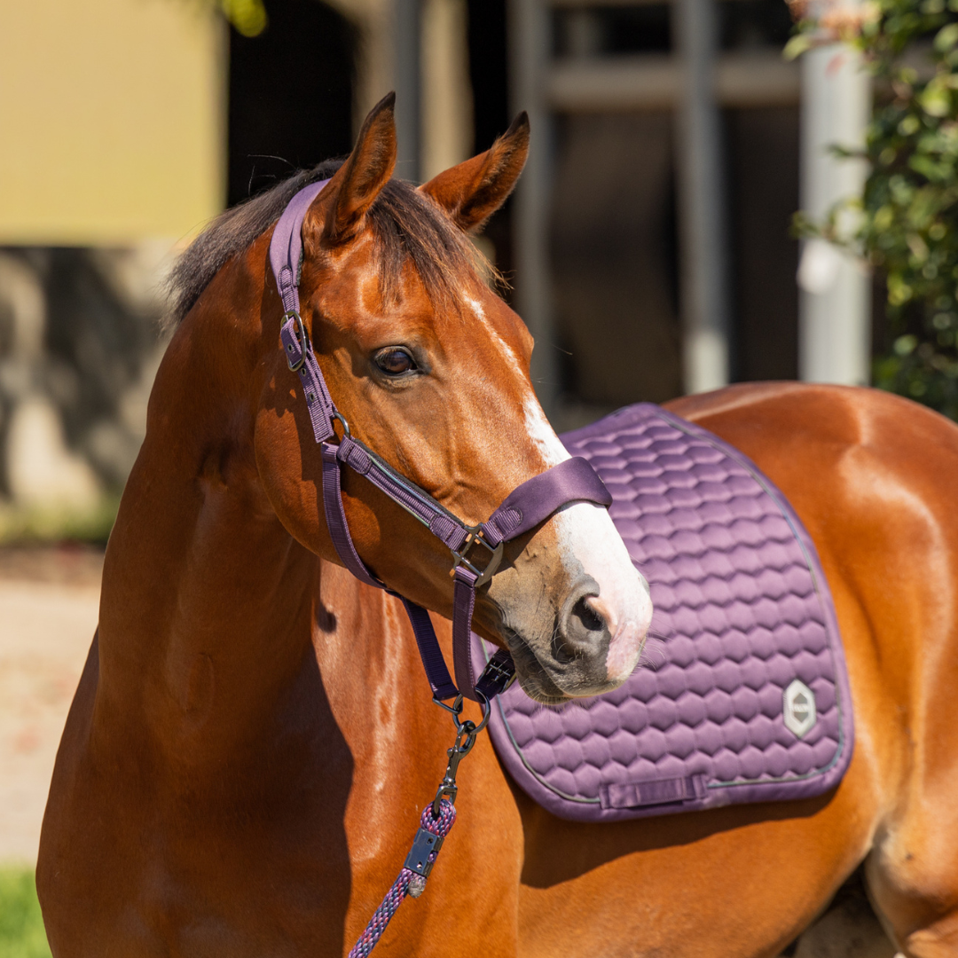 Dazzle Halter - Image 4