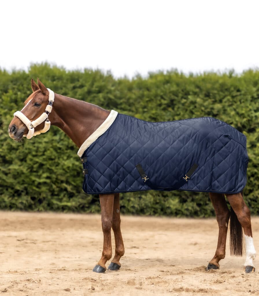 Waldhausen Exclusive Stable/Show Rug