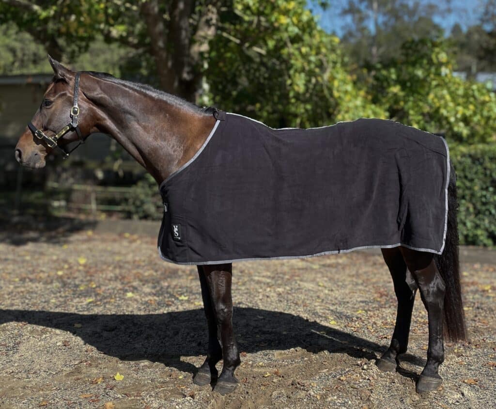 YS Fleece Rug