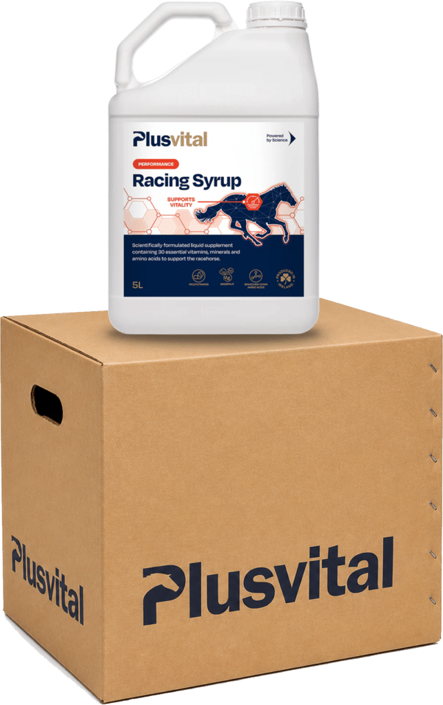 Plusvital Racing Syrup 5L Carton – 4 Pack