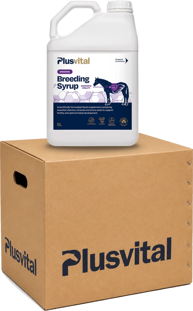 Plusvital Breeding Syrup 5L Carton