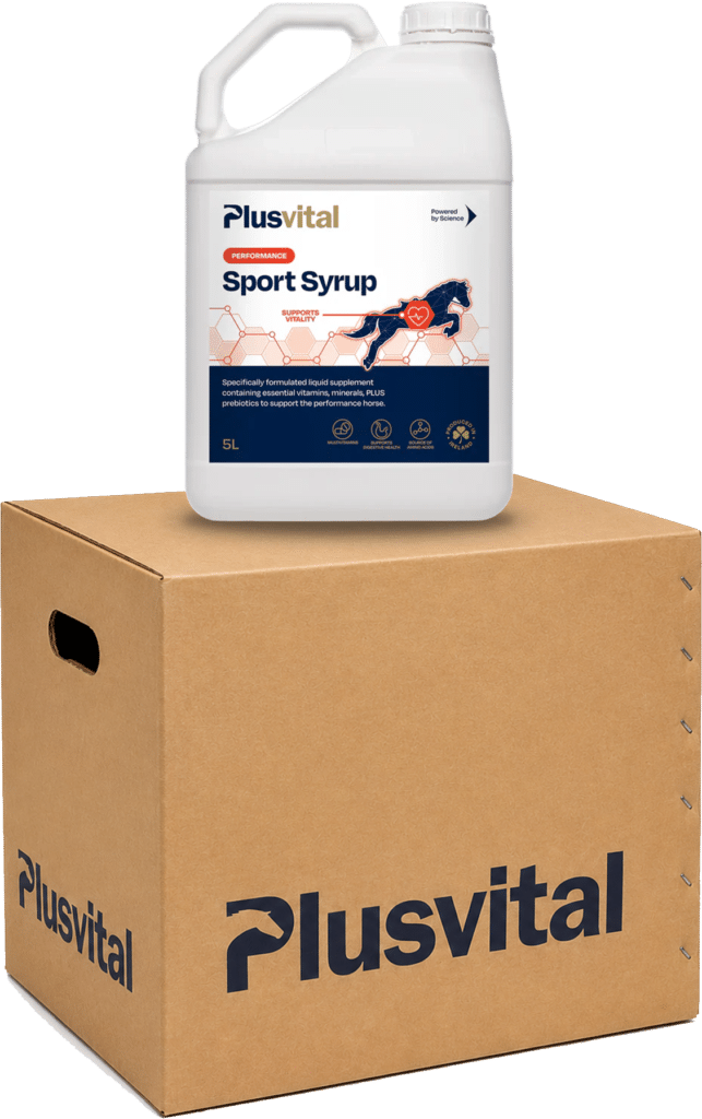 Plusvital Sport Syrup 5L Carton