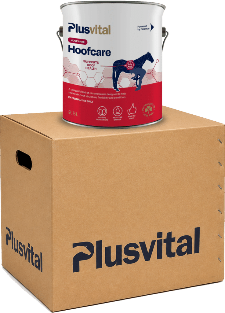 Plusvital Hoofcare 2.5L Carton