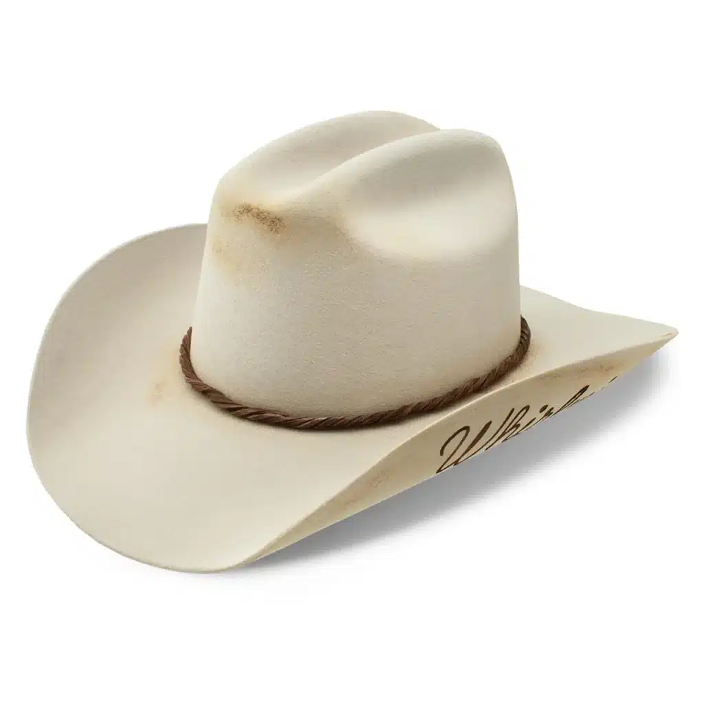 Charlie 1 Horse Lainey Wilson Whirlwind Hat