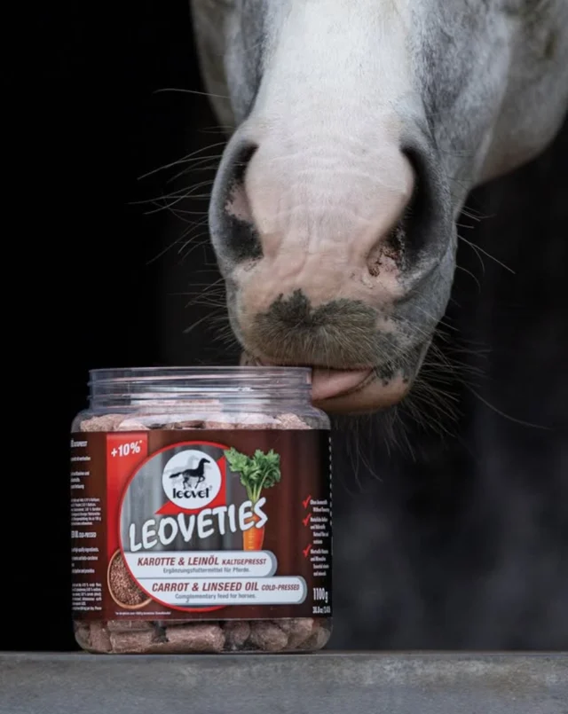 🥕 NEW ARRIVAL: A treat they’ll come running for! 🐴✨

Leovet Leoveties Carrot & Linseed Oil combine delicious carrot with cold-pressed linseed oil to create a naturally tasty reward—without artificial flavourings.

Perfect for training, after a great ride or simply because your horse deserves a treat! Supplied in a generous 1100g reusable tin, they’re easy to store and ideal for the stable, float or competition days.

🥕 Carrot & cold-pressed linseed oil
🌿 No artificial flavourings
🐴 Naturally occurring fibre, vitamins and minerals
♻️ Practical reusable tin
💛 Horse-approved deliciousness! #horsegear #saddlepads 

#YourSaddlery #Leovet #Leoveties #HorseTreats #EquestrianAustralia #HorseLovers #NewArrival