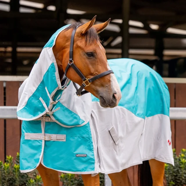 🌦️ READY FOR CHANGEABLE WEATHER

Meet the Zilco Guardian Hybrid Combo—the clever combination of reliable rain protection and cooling airflow.

Featuring a breathable, waterproof 600D polyester outer with strategically positioned mesh panels, it helps keep your horse protected without sacrificing ventilation. Ideal for humid climates and days when the weather can’t make up its mind! 🐴

✓ Shoulder gussets for freedom of movement
✓ Double front straps
✓ Low-set removable surcingles
✓ Removable leg straps
✓ Rump darts for a contoured fit
✓ Large tail flap
✓ Fully bound finish

Finished in eye-catching Turquoise/Silver with Silver Trim.