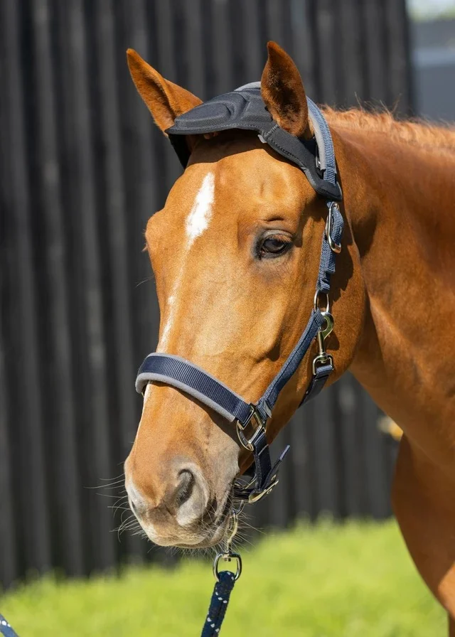 Protect where it matters most. 🐴🛡️

The Woof Wear Poll Guard provides superior impact protection for your horse’s sensitive poll area—helping deliver extra comfort and peace of mind in the stable or while travelling.

Designed for effortless use, it attaches easily to a headcollar whenever additional protection is needed.

✨ Superior poll protection
✨ Comfortable and easy to fit
✨ Ideal for stable and travel use

Shop the Woof Wear Poll Guard at Your Saddlery.

#YourSaddlery #WoofWear #PollGuard #HorseSafety #HorseTravel #EquestrianAustralia #HorseCare
