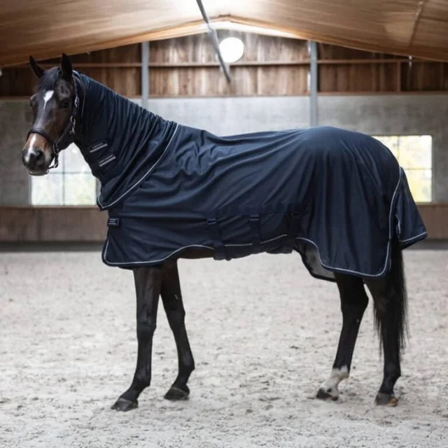 Complete fly protection without compromising on comfort. 🐴☀️

The Lami-Cell Insect Master Fly Sheet is designed to help keep your horse cool, comfortable and protected from flies, biting insects and the summer sun.

Made from durable, breathable interlock mesh, it offers 80% UV protection while allowing freedom of movement. The detachable neck and belly covers let you customise the coverage, while the large tail flap and detachable tail bag provide added protection where it’s needed most.

✔️ Breathable interlock mesh
✔️ 80% UV protection
✔️ Detachable neck and belly covers
✔️ Large tail flap with detachable tail bag
✔️ Secure touch-tape fastenings
✔️ Stylish contrasting trim

Give your horse comfortable, head-to-tail protection this fly season.

Shop the Lami-Cell Insect Master Fly Sheet online now at Your Saddlery.

#LamiCell #FlySheet #FlyProtection #SummerHorseCare #HorseRug #EquestrianAustralia #HorseOwners #YourSaddlery