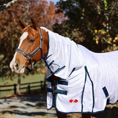 ☀️ More airflow, more comfort — a must-have for summer! 🐴

Help your horse stay cool on hot days with the Zilco Aircon Combo. Its breathable knitted polyester mesh allows plenty of airflow, while thoughtful features keep your horse comfortable throughout the day.

✨ Shoulder gussets for freedom of movement
✨ Satin mane lining and fleece wither & neck protection
✨ Elastic leg straps and double cross-over surcingles
✨ Large tent tail flap
✨ Machine washable and quick drying

Make summer care a breeze! 🛍️ Shop now at www.yoursaddlery.com.au

#YourSaddlery #Zilco #ZilcoAircon #HorseRugs #SummerHorseCare #EquestrianEssentials